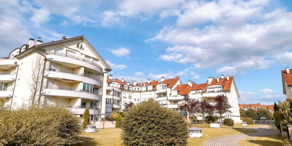 nova-grbina-2 nova-grbina-2